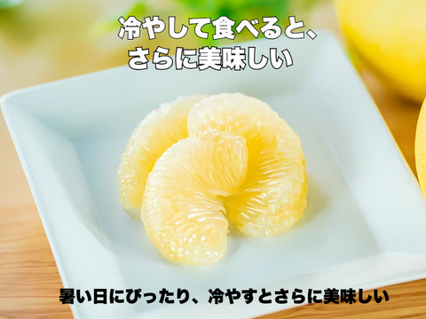 土佐文旦 超訳あり｜見た目NGでも中身同じ 今が食べ頃 60日仕上げ 3kg お試し