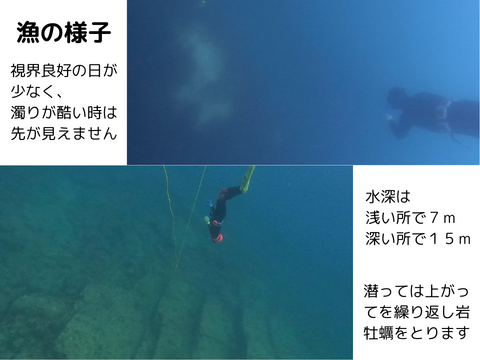 【夏期限定】ヨコタ礁天然岩牡蠣_生食用　Ｂセット（小5個、大5個）