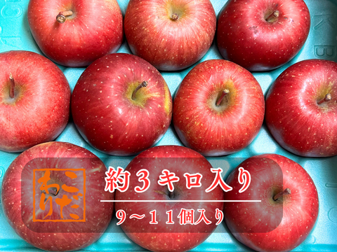 【訳あり】りんご ふじ  サンふじ 家庭用 約10玉 スッキリ美味しい 3kg  さんふじ リンゴ スイーツ 果物 安い 秋田
