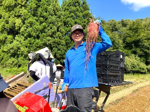 【ねっとり濃厚な甘さ＆なめらかで上品な甘さ】さつまいも詰め合わせセット3㎏