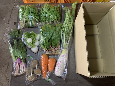 【自然栽培】会津伝統野菜含む5~8品目旬のお野菜セットMサイズ