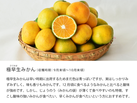 【12/4まで特別価格】有田みかん2.5kg (大粒サイズ 2L～3L) 家庭用(訳あり品)  和歌山 311-o2h