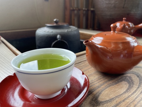【新茶】🌱𓂃 𓈒𓏸2024年予約八女茶当店人気の深蒸し煎茶2本セット♡