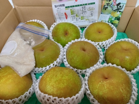 甘～い幸水梨、3キロダンボール箱🍐6～10玉入り　発送中