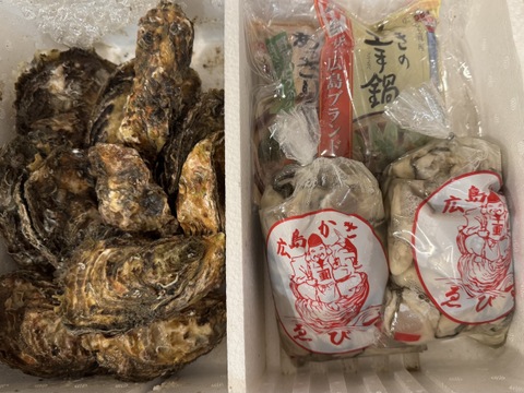 【福袋】牡蠣のバラエティセット②【加熱用】殻付き牡蠣10ヶ＋【生食用・加熱用】むき身300ｇ×2袋+選べる鍋のもと2ヶ「熨斗対応可」