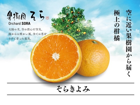 【訳あり】そらきよみ 天空の果樹園 愛媛産みかん 4kg