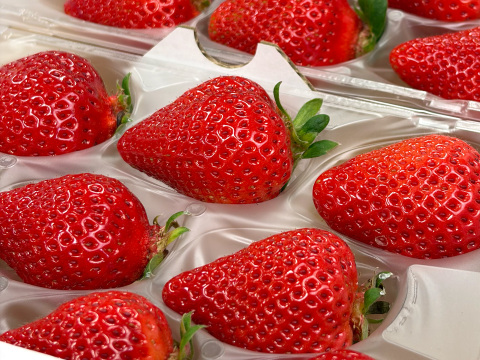 【贈答用】あまおう 800g 甘くて濃い 大粒いちご ゆりかごパック