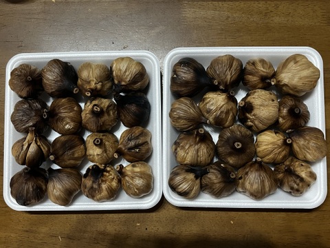 売り切り　お値下げ価格　21 自然栽培　黒にんにく 人気　たっぷり32個
令和7年度新物　食べやすくて美味しい