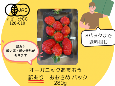 【訳あり】完熟！オーガニックあまおうB級（※6パックまで送料同じ）