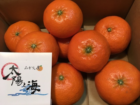 愛媛の甘平☆混合サイズ☆ご家庭用☆⒉5㎏