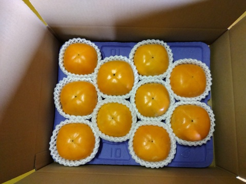 昔ながらのアルコール脱渋庄内柿（20～24個）5kg