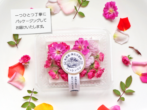 FISH VEGGIES／お魚が育てたお野菜　エディブルローズ【小花】20輪