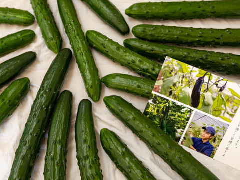 【金の土】胡瓜の一本漬けとナスとキュウリの3点セット