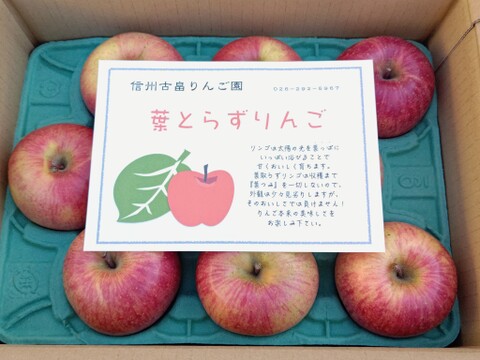 信州産葉とらずサンふじ家庭用3kg8〜11個入り 美味しさ重視のおすすめ品！