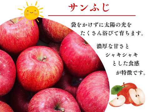 【貯蔵リンゴ】ふじ サンふじ  約8〜10玉 3キロ 希少 発送 りんご 雪室 秋田 雪 甘い 雪中貯蔵 長期保存りんご りんごの効能 Apple 母の日 ギフト フルーツ 家庭用