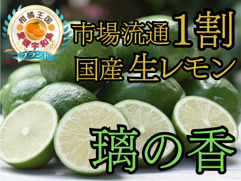 【市場流通わずか1割】緑の宝石とも呼ばれる次世代を担う国産生レモン『璃の香』お試しキャンペーン約1㎏【9月上旬予約】
