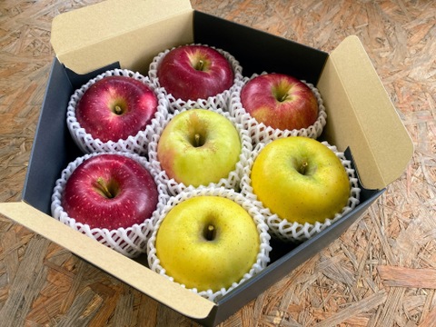 【期間限定ギフト】贅沢４品種ミックス🍎上品7個入りギフトボックス〜化学合成農薬を約40％削減して栽培しました〜安曇野産りんご🍎