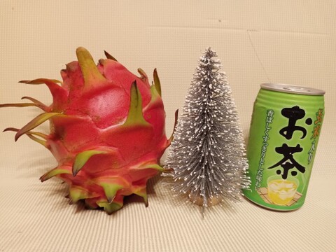 限定１個【超特大900g玉】沖縄の完熟ドラゴンフルーツ(赤)　(家庭用）