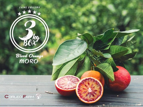 【EHIME UWAJIMA】<農園イチオシ柑橘>ブラッドオレンジ（モロ）3kgBOX(2.5kg)