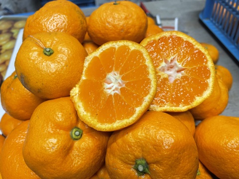 濃ーーーい甘さ！とくしま県・勝浦産『貯蔵みかん』【秀品】5キロ