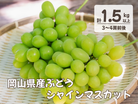 お盆シーズンの贈り物に！『岡山県産ぶどう』シャインマスカット 1.5キロ以上お入れ致します