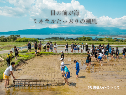 【令和6年新米】潮風香る田んぼでトキと育った新潟県佐渡産 自然栽培『在来コシヒカリ』 白米20kg