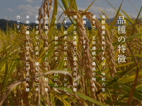 【令和7年新米】農薬・化学肥料不使用 冷めても美味しい「きぬむすめ」8分づき　10キロ