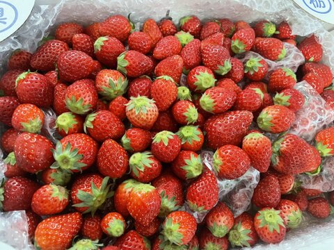 ☆少し延長します☆最終セール　コロコロジャム用いちご（とちおとめ）2000g