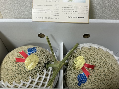 今季最終便【秋作】秀品マスクメロン3.2kg以上(1.6kg以上×2玉・くまモン箱入り)