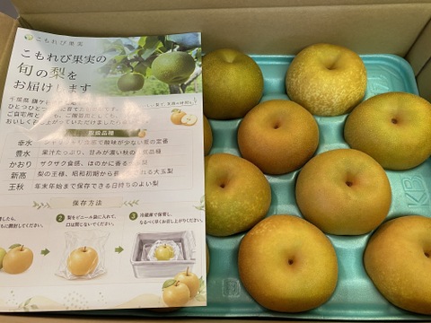 梨：幸水】家庭用 5kg(14〜16玉)｜千葉の梨農家から朝採れ直送【予約