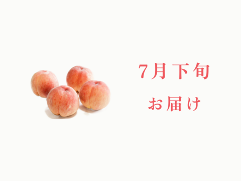 【7月下旬発送】桃好き必見！桃のリレーが楽しめる！季節の【桃】おうち用（もも）お試しセット 約2kg 約5~6玉