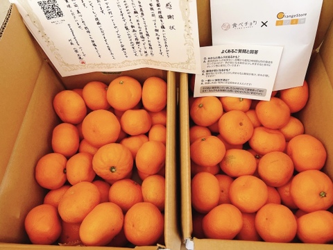 まどんな（ご家庭用・2㎏）×2箱+夕やけみかん（ご家庭用・３㎏）×２箱※12月発送開始