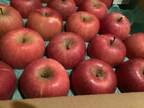 サンふじSサイズ（約9㎏）46～56玉
甘さ･酸味･食感の三拍子が揃ったりんご
Sサイズのかわいいりんご　まるかじりでどうぞ