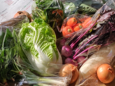 畑から直送! 野菜ソムリエ農家　旬のカラフル野菜セット(約7,8品目)