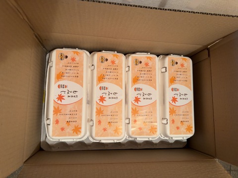 １０個入れパック入り国産鶏種もみじの新鮮たまご36個(４０個入り４個割れ保障,１０個入り４パック)