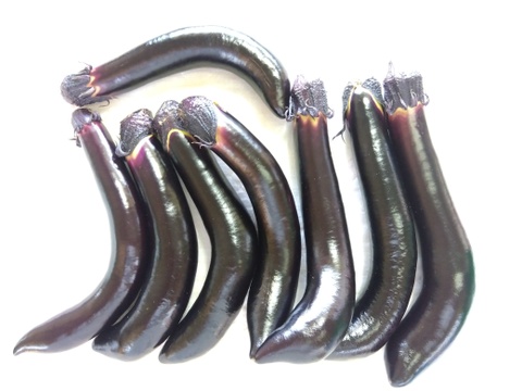 たまきちさんリクエスト専用サイト

訳ありふわトロ長ナス１Ｋｇ
フルーツトマト１Ｋｇ