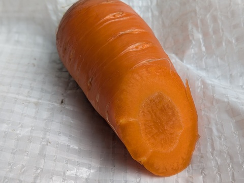 アロマレッド　博多の夏ニンジン　約1.9kg  福岡産