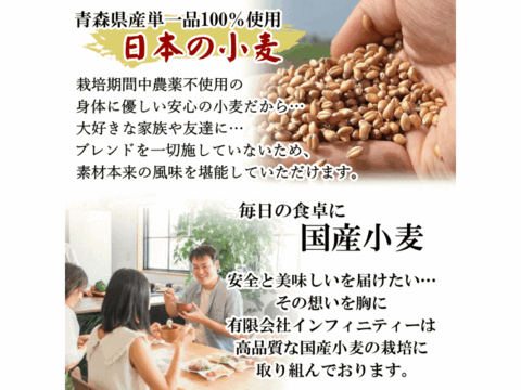 【栽培期間中農薬不散布】ふすま粉 細挽き 400g 栄養価が高い小麦ブランを使用 日本の小麦  メール便