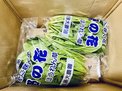 新潟のこりゃまた美味いおにぎり( ´ ▽ ` )
令和5年　植酸栽培米コシヒカリ　5kg