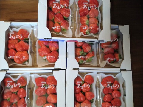 形いろいろ「福岡産いちご」完熟あまおう！5玉〜15玉（10パック）