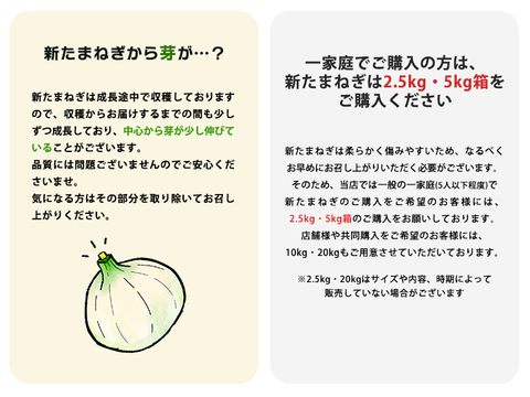 淡路島産新たまねぎ 10kg 兵庫県認証食品