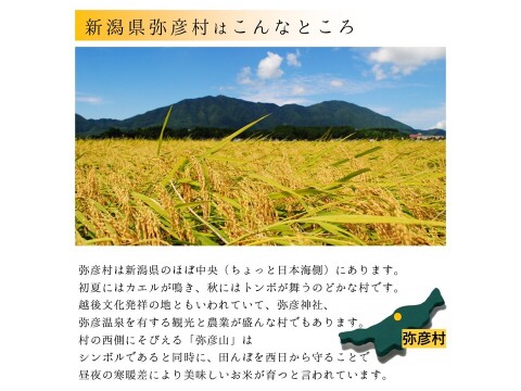 【乾燥米こうじ  500ｇ】 新潟県弥彦村 石井農園 新潟県認証特別栽培米 コシヒカリ１００％