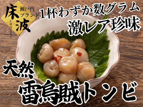 【一杯に一個の超希少珍味】🦑天然国産カミナリイカ『口先(トンビ)』長州床波ブランド海鮮部位指定キャンペーン数量限定☆お試し約100g【6月上旬予約】