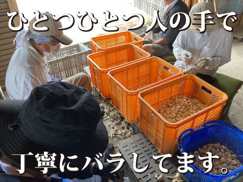 【毎年２万箱売れてます！】２キロ！ 青森県産にんにく 最高級品種 ホワイト６片「白玉王」家庭用バラ