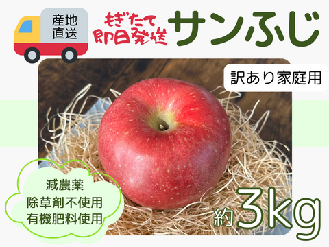 もぎたて 即日発送 りんご サンふじ 訳あり 家庭用 3kg 長野県産 信州りんご発祥の地 産地直送 除草剤不使用 人にやさしく環境にもやさしい