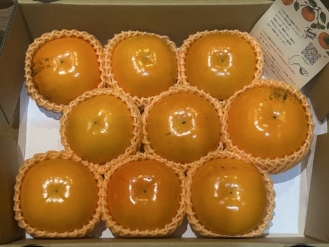 【送料500円引き🍂】極上果汁！　紀州てまり（柿）🟠✨ファミリーパック 2L以上8〜9玉入り 家庭用【和歌山県産特別品種】