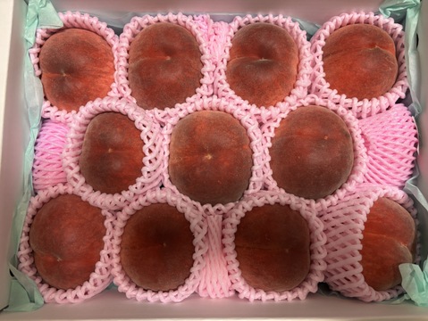 【有機栽培の美味しい桃約3kg（第一期）】自然に優しく希少でジューシーな天然桃(9～12個入)！