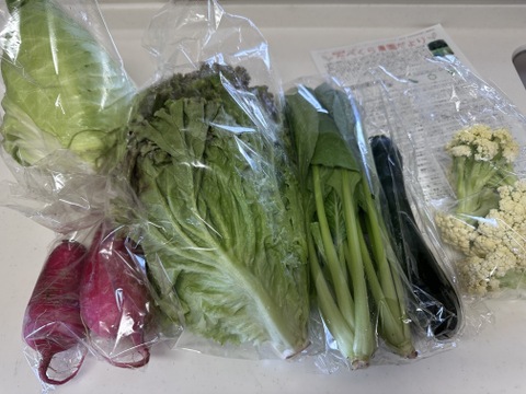 『子育て農家の野菜セット』　miniサイズ　6品目
