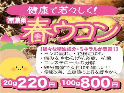 健康で若々しく！ 春ウコン20g(栽培期間中農薬不使用)