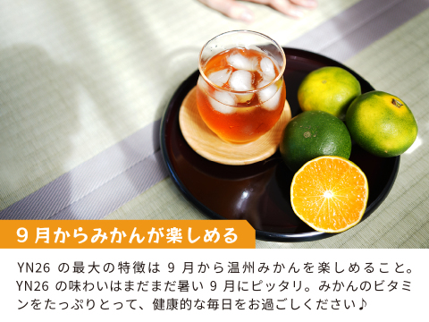 YN26（みかん）家庭用5kg｜和歌山で生まれた温州みかんの有望品種を産地直送でお届け